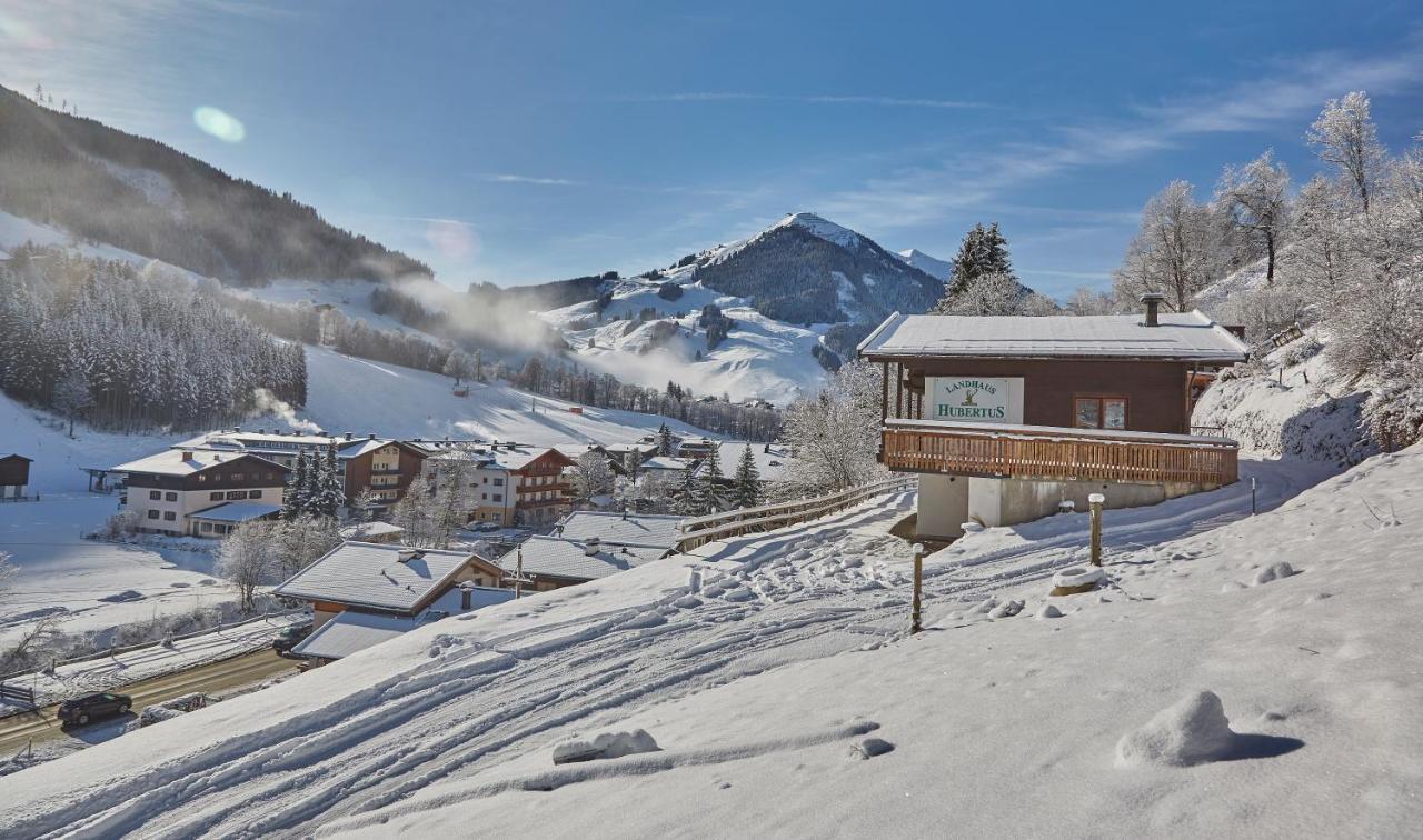 Chalet Lodge Hubertus ザールバッハ・ヒンターグレム エクステリア 写真